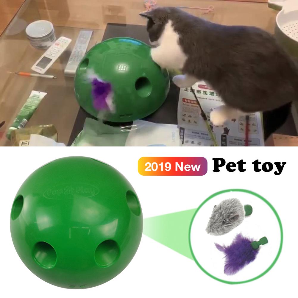 New Cat Toy Pop Play Pet Toy Ball POP N PLAY Cat Scratching Device Funny Traning Cat Toys For Cat Sharpen Claw Pet Supplies