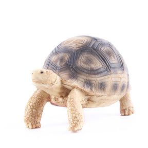 Turtle fish tank shaped handicraft resin ornaments