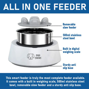 0Ml Anti-Skid Slow Feeder