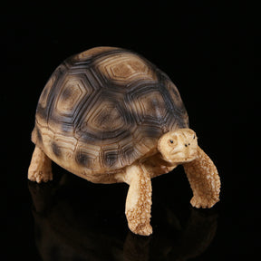 Turtle fish tank shaped handicraft resin ornaments